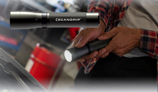 (D) Flashlight series