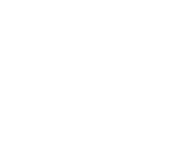   Dimmfunktion mit  fünf Lichtstufen 10 % - 100 %   Ein- Ausschalten,  Akkustand überprüfen   Zwischen Abstrahlwinkel   