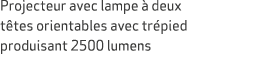 Projecteur avec lampe  deux t tes orientables avec tr pied produisant 2500 lumens 