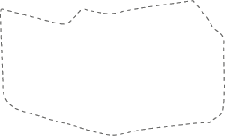 Polygon