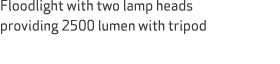 Floodlight with two lamp heads providing 2500 lumen with tripod 