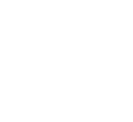 • Dimmer light output into 5 levels 10 % 100 % • Switch on/off, check battery • Group control function, up to 4 lamps...