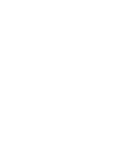 • Dimmer light output into 5 levels 10 % 100 % • Change between 360° and 180° illumination • Switch on/off, check bat...