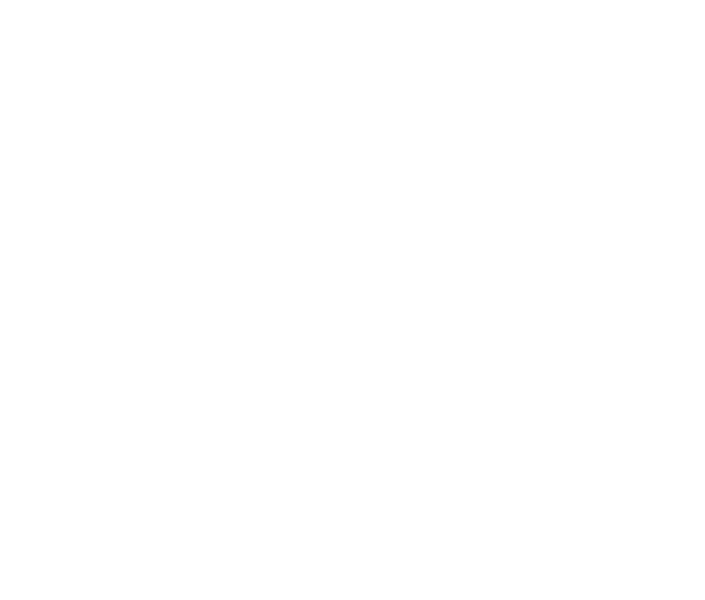 SCANGRIP Speziallampen basieren auf modernen, kontinuierlich weiterentwickelten LED und Akkutechnologien und setzen n...