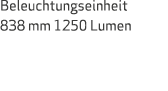 Beleuchtungseinheit 838 mm 1250 Lumen