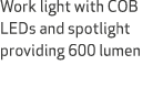 Work light with COB LEDs and spotlight providing 600 lumen